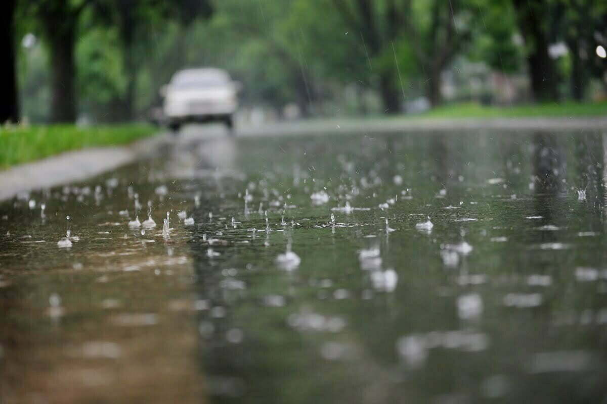 Light Rain, And Snow Over Higher Reaches Of Kashmir During The Next 48 Hours: MeT