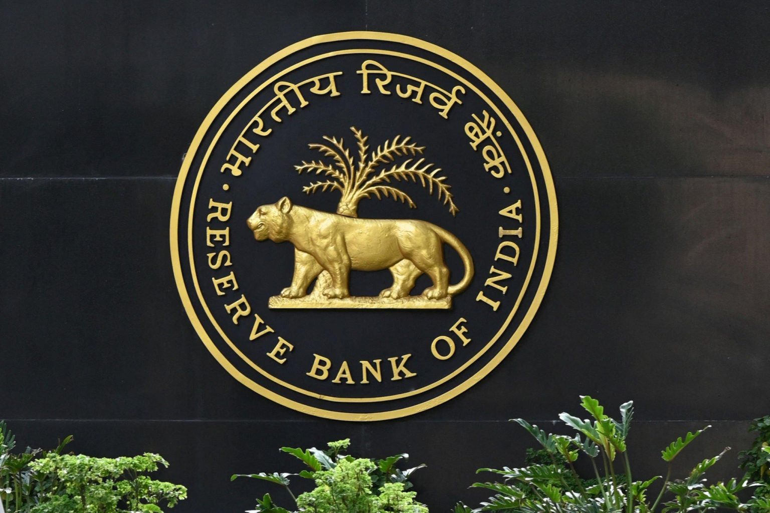 RBI PICTURE 1536x1023 1