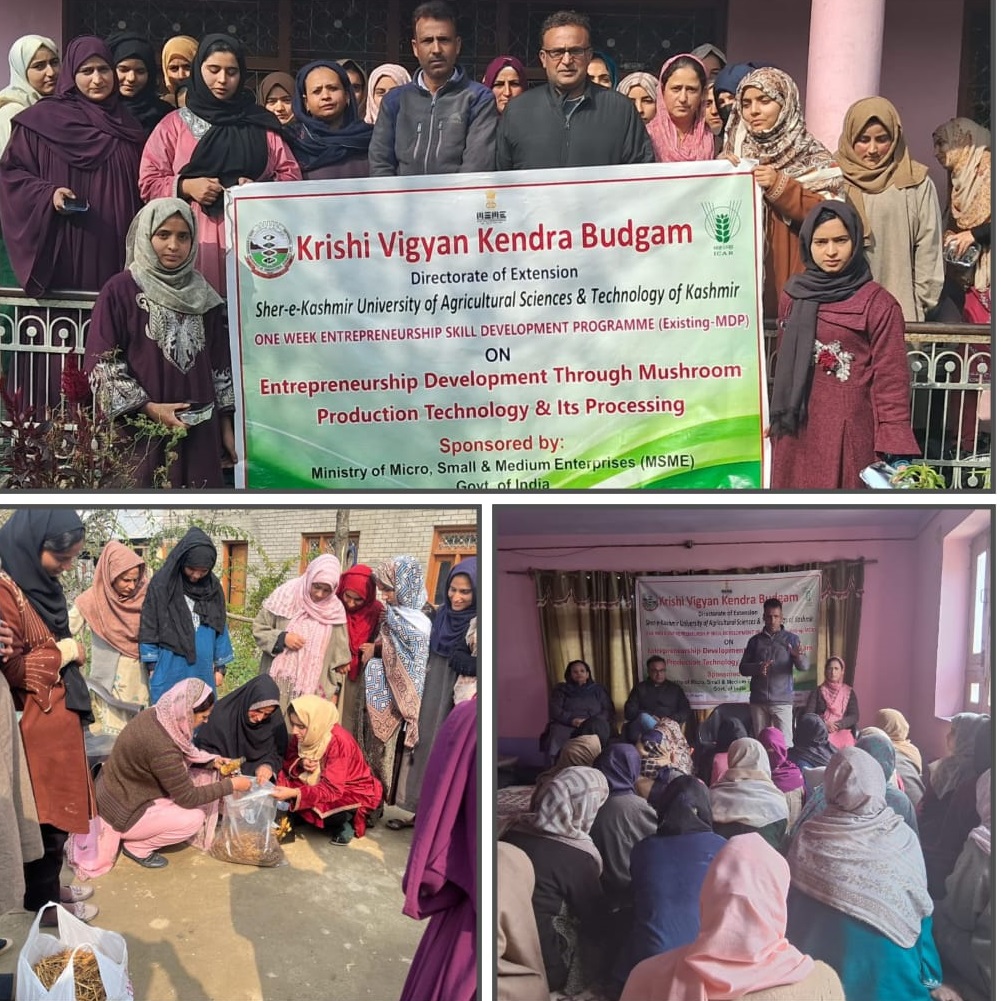 SKUAST K KVK Budgam concludes E MDP on Entrepreneurship Development through Mushroom Production Technology and its Processing