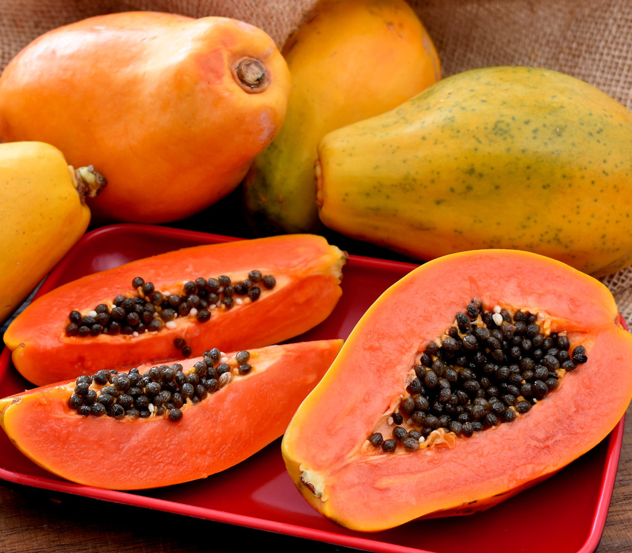 carica papaya2a s 85162.1711386353